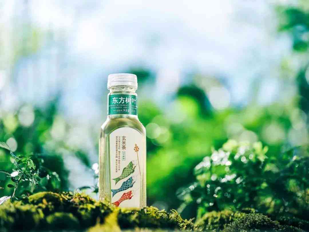 东方树叶青柑普洱茶复合茶饮料500ml:女人能喝吗？价格如何？