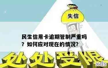 民生信用卡逾期和网贷问题全方位解决方案：如何处理逾期款项并解决网贷困境