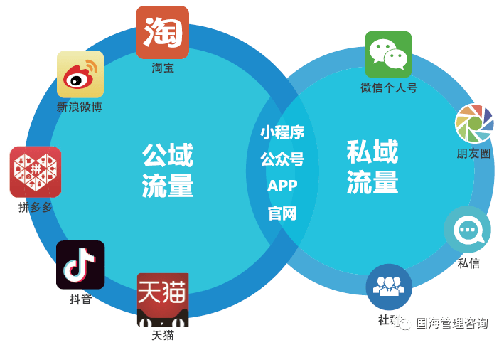 全面解读茶叶直播销售技巧：从选品、泡法到客户关系维护一应俱全