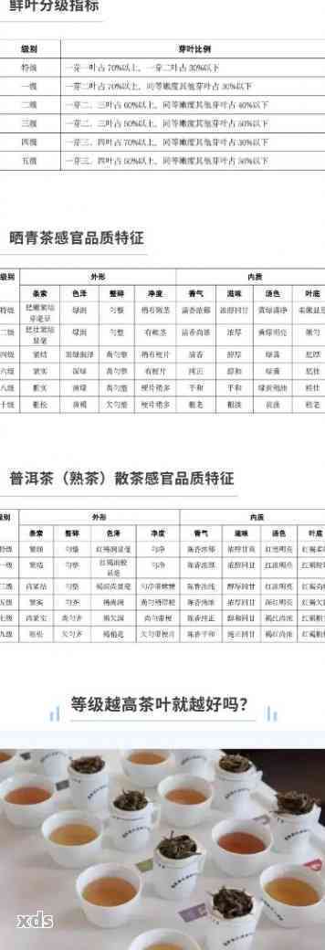 普洱茶9级料：从一级到十级的区别和原料等级划分详解