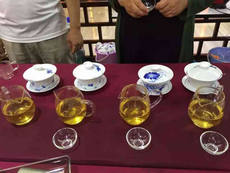 探究普洱茶9级茶的品鉴与饮用方法