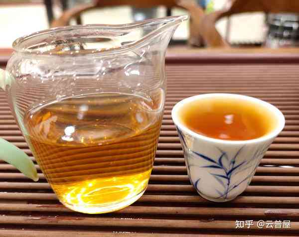 探究普洱茶9级茶的品鉴与饮用方法