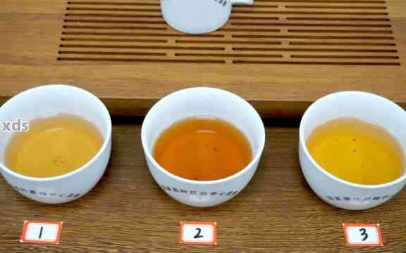 探究普洱茶9级茶的品鉴与饮用方法