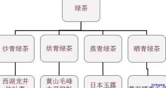 普洱茶9级茶青：等级划分、品质特点及选购指南