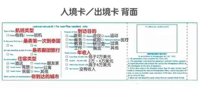 新西兰出入境记录查询指南：如何获取完整信息及相关注意事项