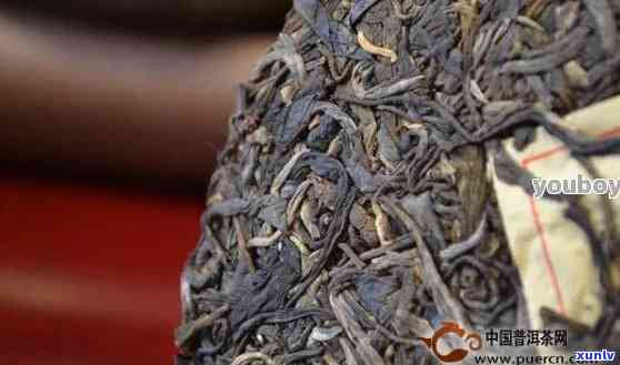 26年陈普洱茶珍品：独特风味与市场行情分析