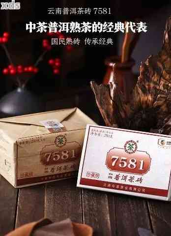 7581号普洱茶：中茶经典口感解析