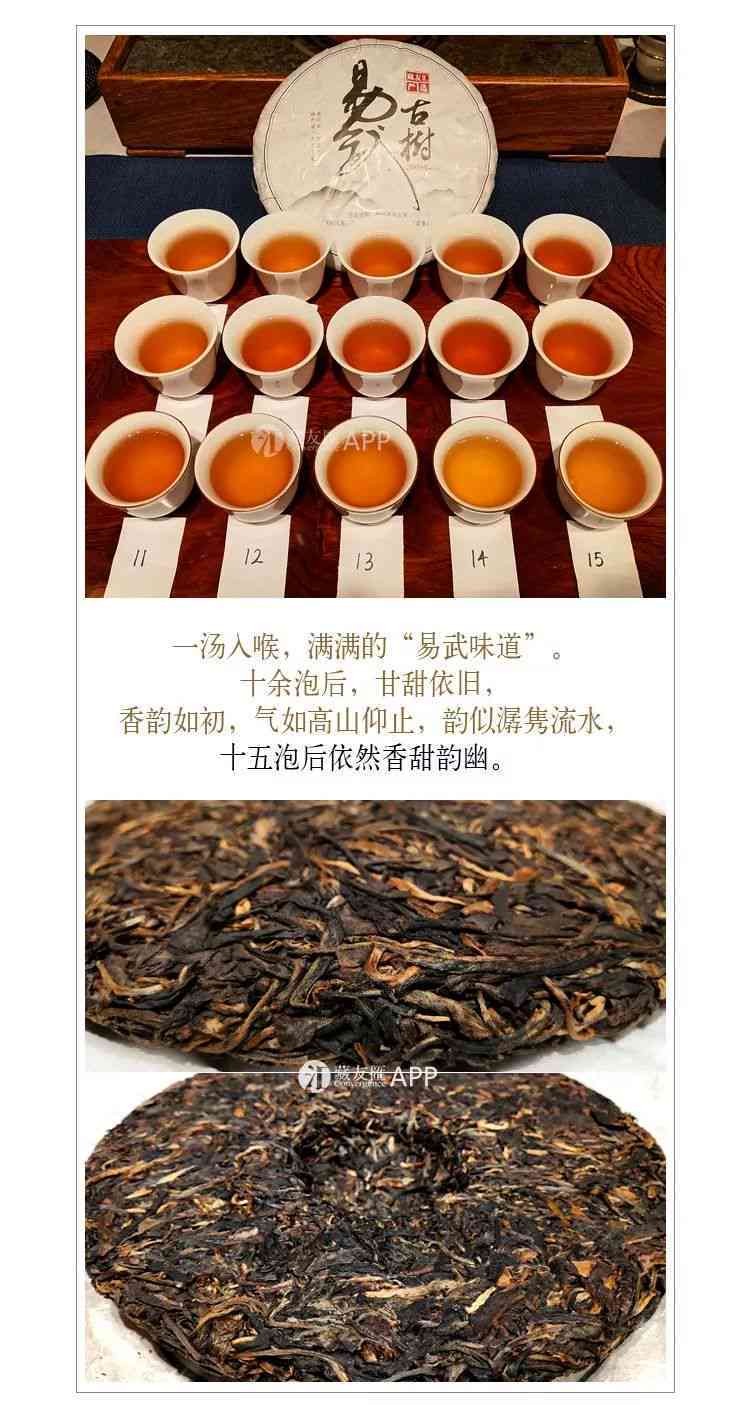 2009年易武古树普洱茶：年份、品质与收藏价值解析