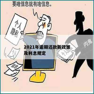 2021年针对网贷逾期还款的新政策调整与解读