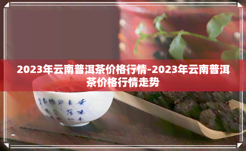 云南普洱茶2023年市场价格分析及预测表