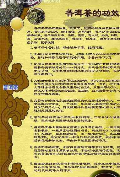 '沉香普洱茶之保健功效大揭秘：揭示其全面而深远的健益处'