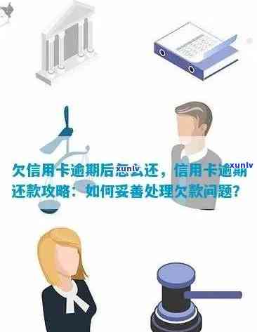 信用卡逾期的影响与解决策略：如何避免逾期问题并维护信用记录