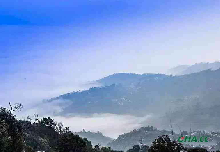 大雪山脚下的普洱摄影艺术：317摄影之旅