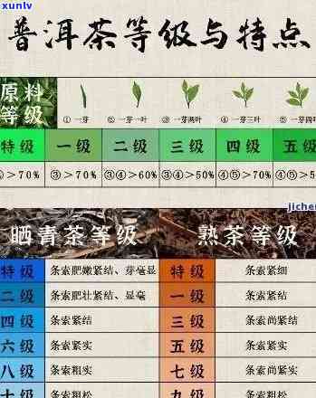 普洱7266:全方位解析、使用与购买指南，解答您的所有疑问