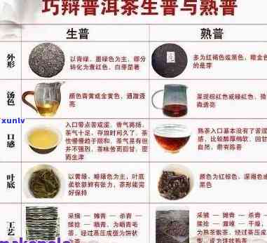 普洱茶的种类及其特点：老普洱属于哪一类？