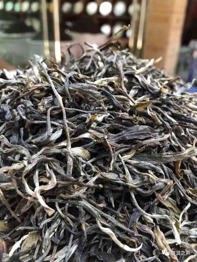 普洱生茶散茶与饼茶：哪种更好喝？