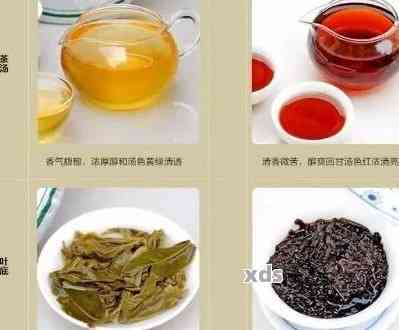 普洱茶是绿茶品类吗？为什么不是绿茶类？普洱茶是不是绿茶？