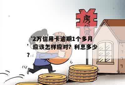 信用卡额度2万，逾期还款如何应对？