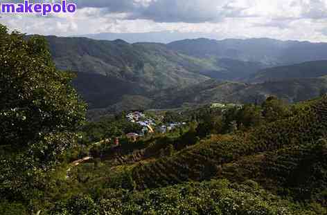 普洱茶寨子排名及详细指南：挑选普洱茶寨子的实用建议和评价