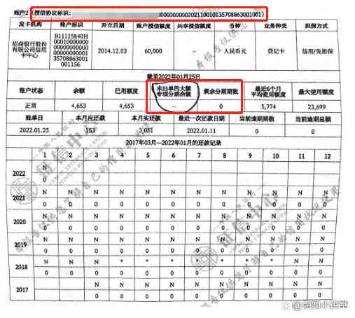 '中国核销账户还款情况及相关处理建议'