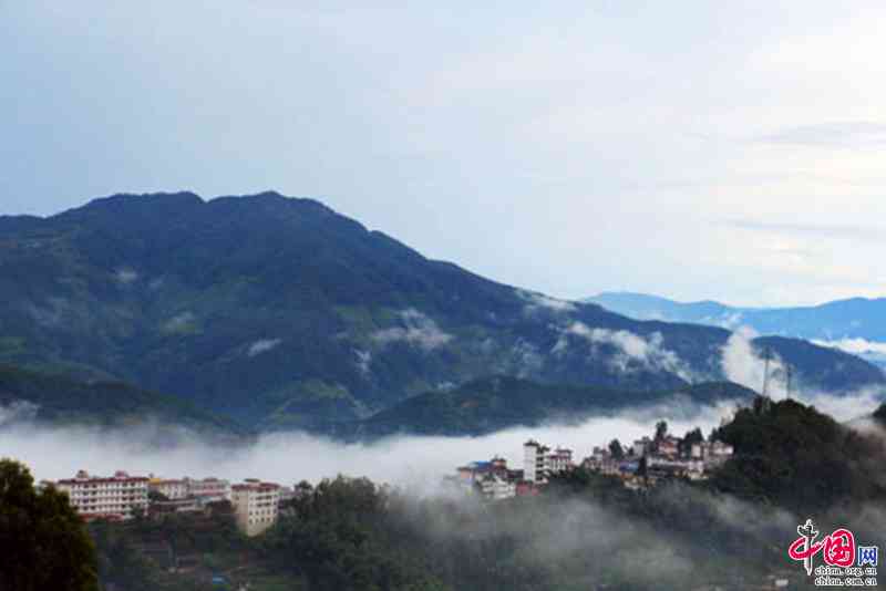 普洱茶海拔更高的山：云南普洱茶各大山头海拔对照表与品质关联