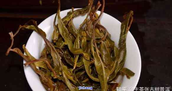 普洱茶的根茎能吃吗？怎么吃好喝？