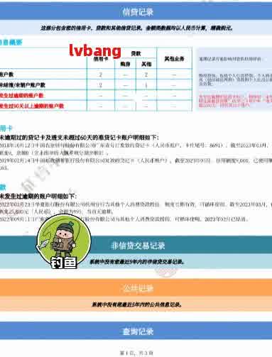 网贷逾期怎么查：报告查询全攻略