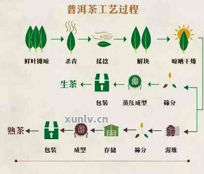 普洱茶叶加工厂：生产质量保障、工艺流程详解及如何选择优质茶叶的全面指南