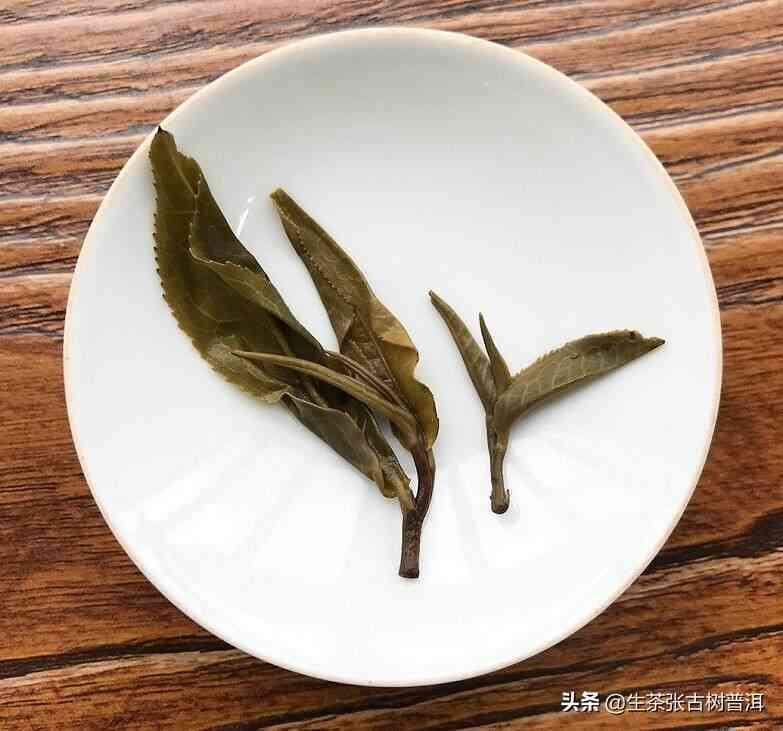 普洱茶的制作过程与品质：用汗水泡出的茶叶真的可以饮用吗？