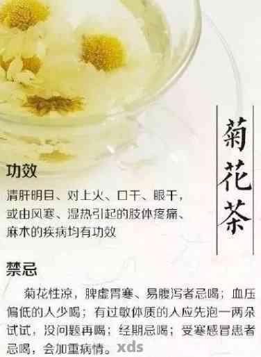 '菊花普洱茶去火吗？如何喝与泡以及降火效果，普洱菊花茶的去火作用'