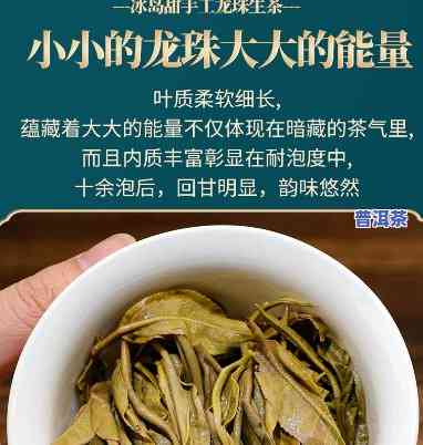 冰岛龙珠普洱茶生茶怎么泡