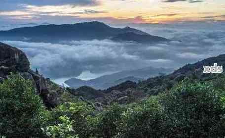 怎样介绍凤凰窝普洱茶产地：一种全面的探索