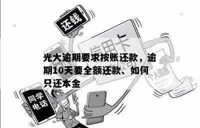 光大逾期还款指南：如何仅还本金，避免罚息和滞纳金？详细步骤解析