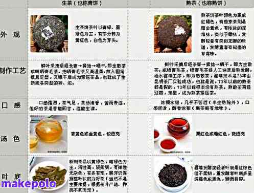 普洱茶体感分类解析：如何选择适合自己的普洱茶？