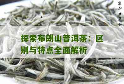 普洱茶体感分类解析：如何选择适合自己的普洱茶？