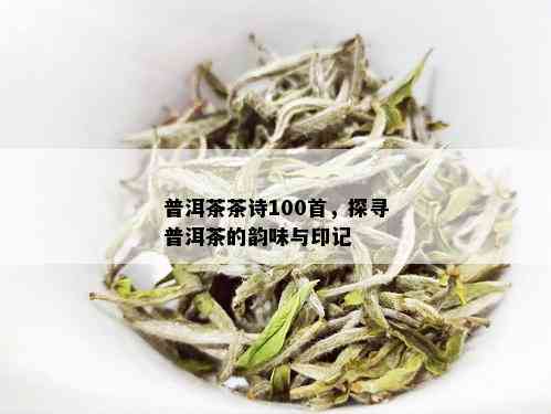 普洱茶诗100首：品读经典，领略茶文化之美