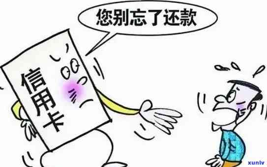 信用卡逾期说执行风暴：原因、影响与应对策略