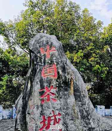 普洱茶博苑一日游：门票、酒店与游玩时间全掌握