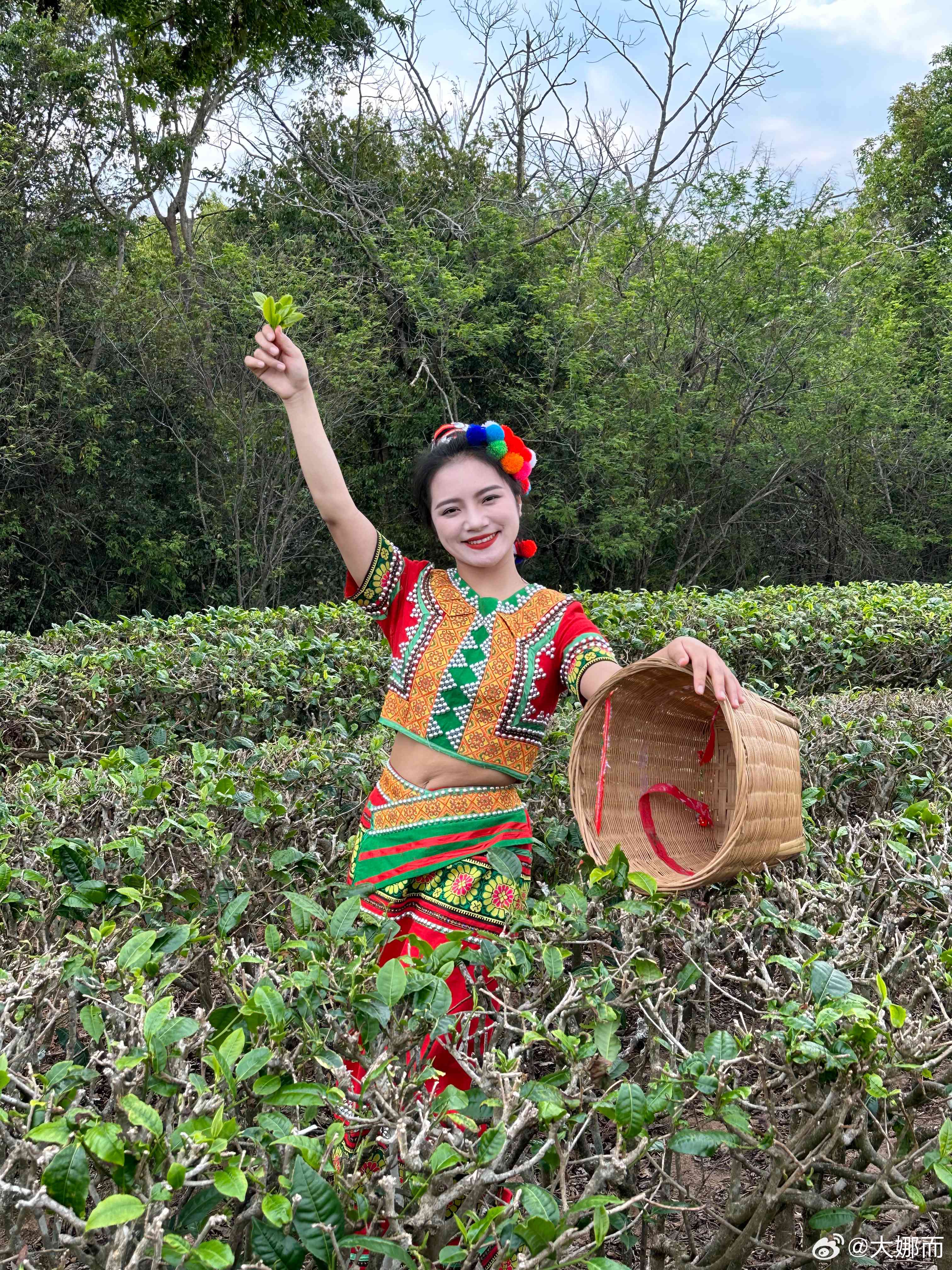 普洱茶云妹