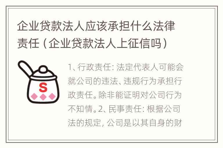 对法人的要求和标准：详细规定与高要求解读