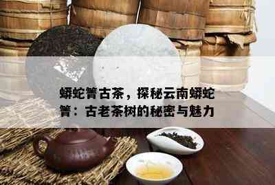 莽别普洱茶五正、莽砖、莽枝及莽蛇菁普洱茶特点介绍