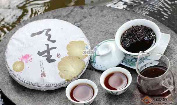 普洱茶的独特韵味：口感特征与品鉴解析