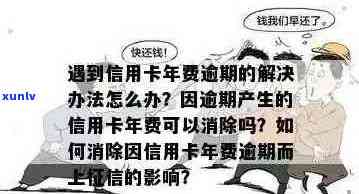 连续两年信用卡逾期对办理新卡的影响和解决办法