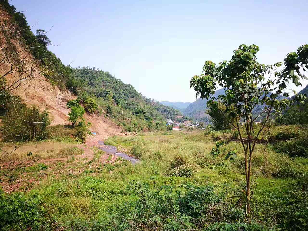 寻找林的普洱茶文化体验地：全方位推荐及详细指南