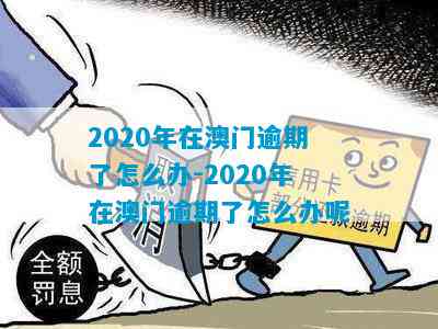 2020年在逾期的后果与解决方法：全面分析与建议