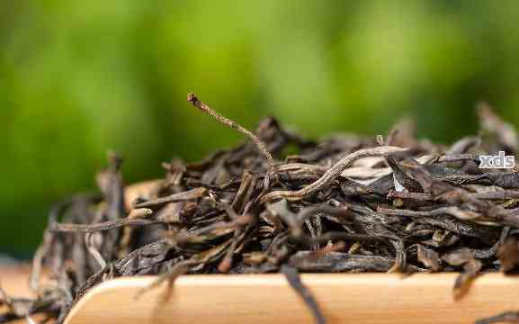 普洱茶散茶的科学存方法：让你的茶叶保持品质