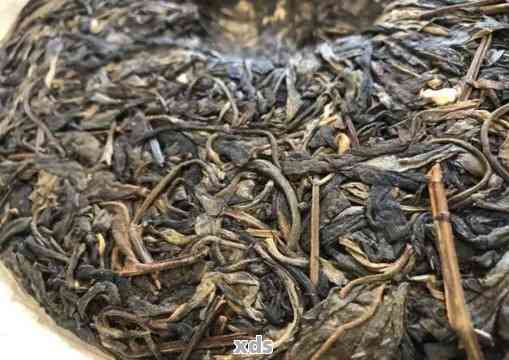 泡过夜的普洱茶水是否安全饮用？如何判断与避免茶叶变质问题？