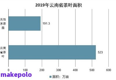 普洱茶：本地人饮用的现状与趋势