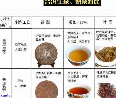 罐装普洱茶饮料种类及保存方法，如何品饮罐装普洱茶和瓶装普洱茶的区别