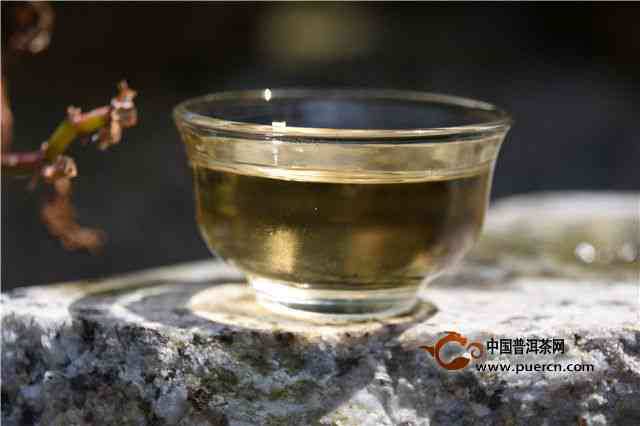 探索普洱茶中的松烟香气：一款魅力独特的香茗体验